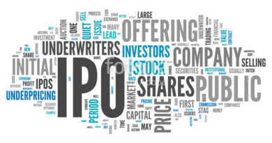 Public Company - Caribbean Value Investor