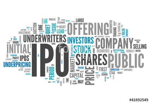 Public Company - Caribbean Value Investor