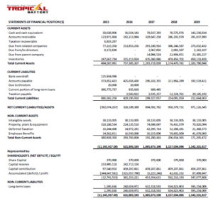 Tropical Battery- IPO Balance Sheet - Caribbean Value Investor Corporation